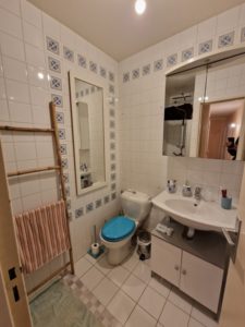 Rénovation d’une salle d’eau et d’un couloir dans un appartement à Franconville